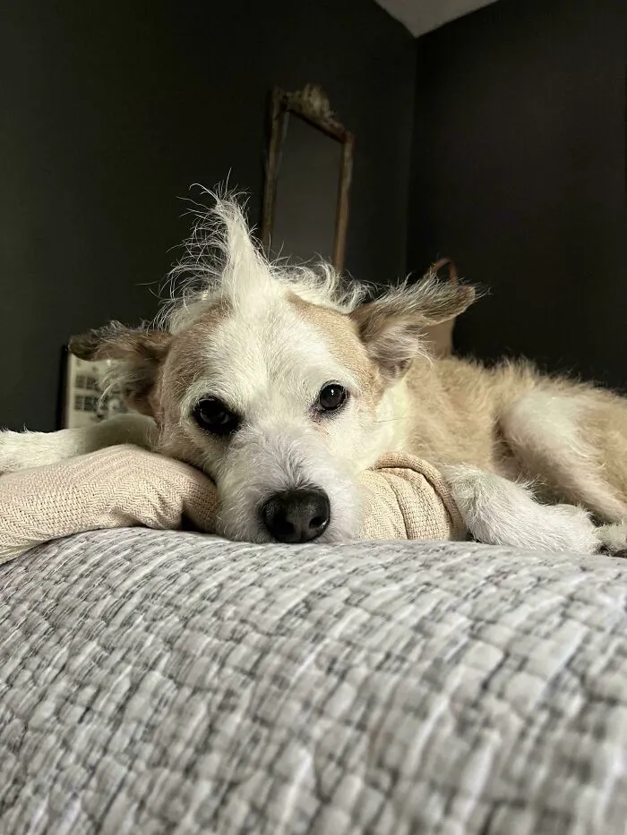 He Actually Woke Up Like This