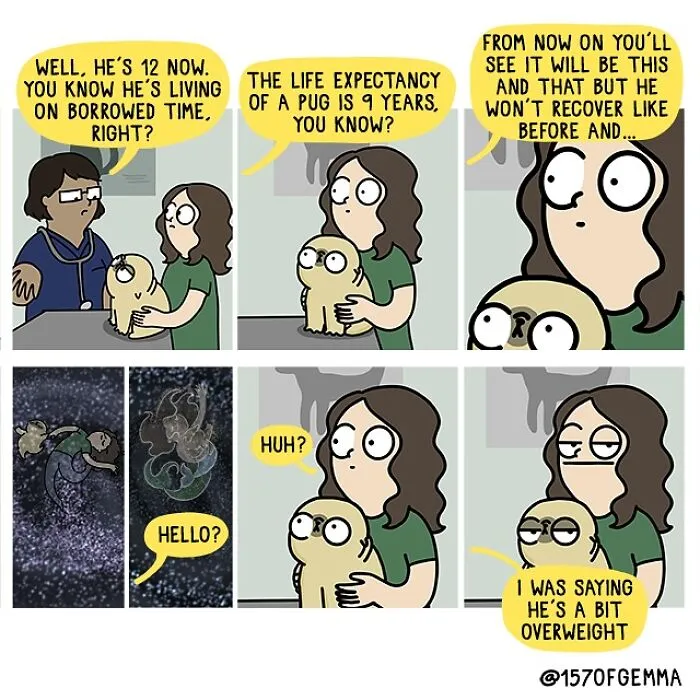 "The Other Day, We Went To The Vet For An Ear Infection And Ended Up Getting The 'Get Ready For The End' Talk"