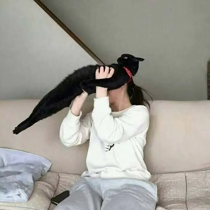 42 Cats That Look Like They’re In The Middle Of A Sitcom Scene