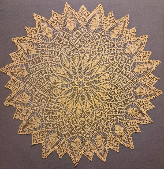 My First Fair Entry