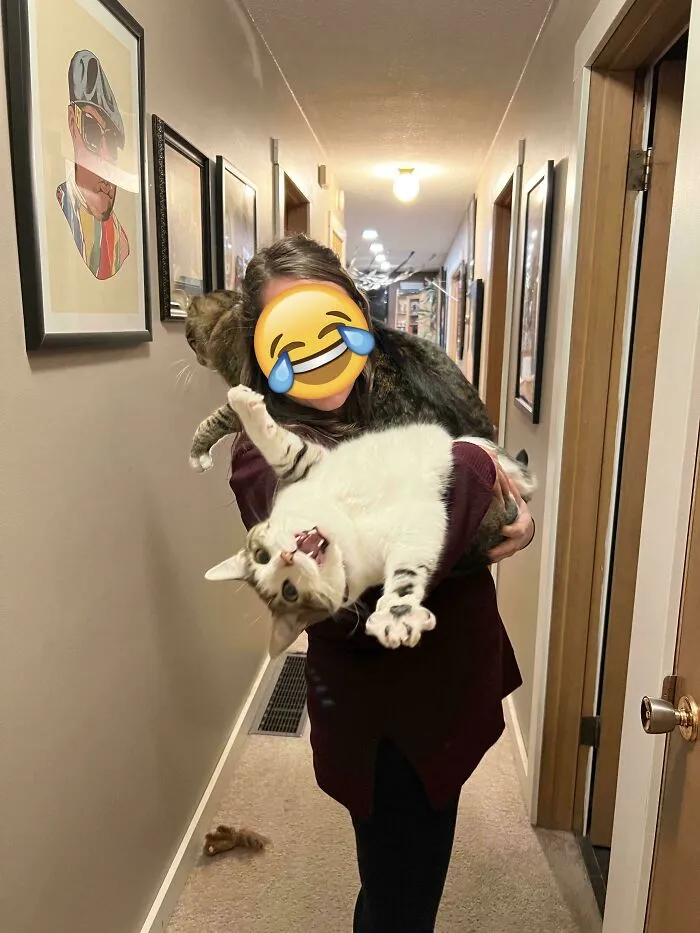 When You Don't Have Separation Anxiety At All