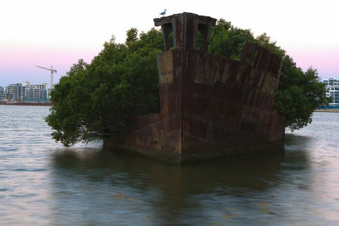 The SS Ayrfield