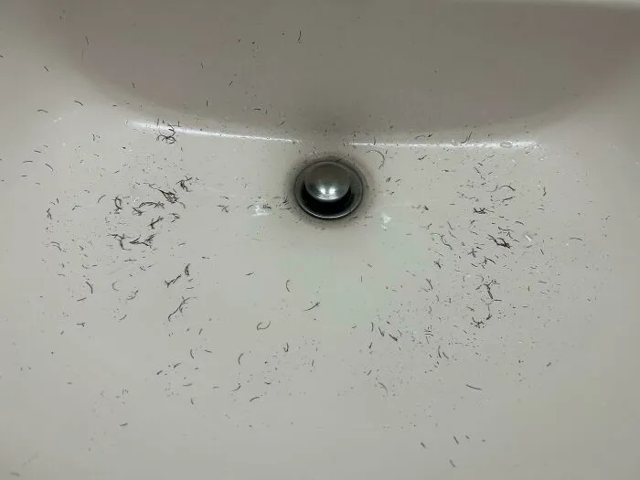 Lavabo blanco con restos de cabello cortado y una rejilla metálica circular en el centro, mostrando desorden y suciedad.