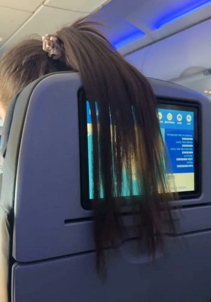 Persona prepotente arreglando su cabello sobre la pantalla del asiento en un avión, mostrando falta de respeto en internet.