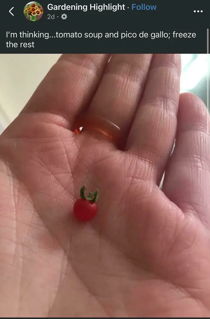 Seen On Facebook. The Tiny Leaves