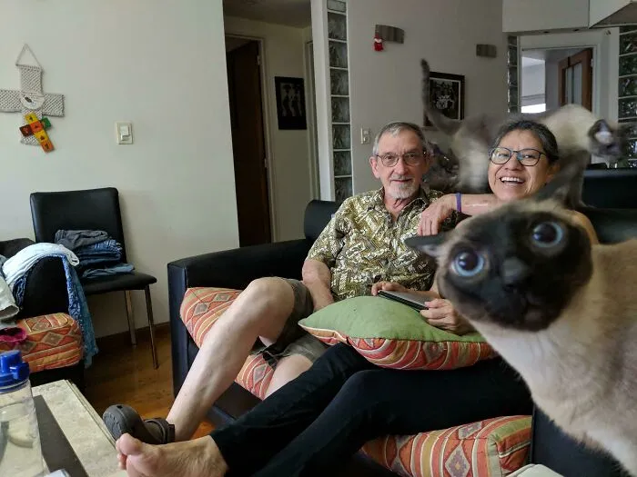 Pareja sonriente en sala con gato curioso en primer plano y otro gato saltando, mascotas arruinan la foto perfecta divertida.