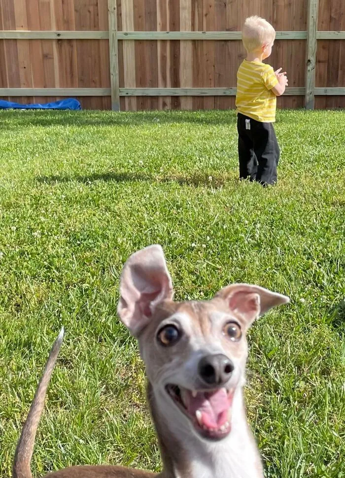 They Just Wanted A Nice Pic