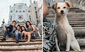50 Funny Times Pets Ruined The Perfect Shot And Stole Every Crumb Of Spotlight