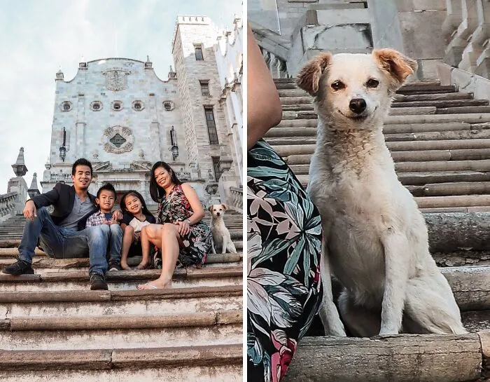 Stray Puppy "Sneaks" In Family Photo  That Was Visiting In Guanajuato