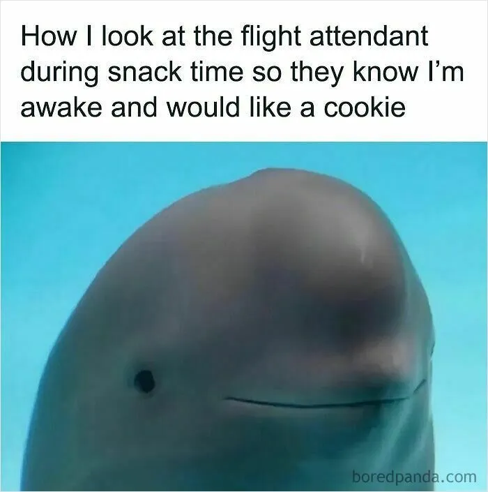 50 Funny And Painfully Accurate Memes That Show We’re All Struggling Together