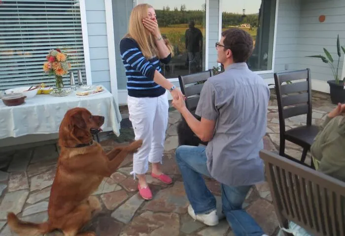 Anoche le propuse matrimonio a mi novia y mi perra le rogó que dijera que sí. Lo hizo.