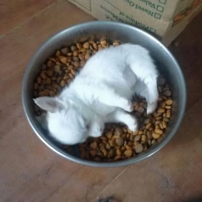 50 Cursed Images That Are Hard To Look At But Harder To Ignore (New Pics)