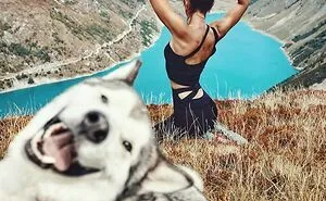50 Funny Times Pets Ruined The Perfect Shot And Stole Every Crumb Of Spotlight