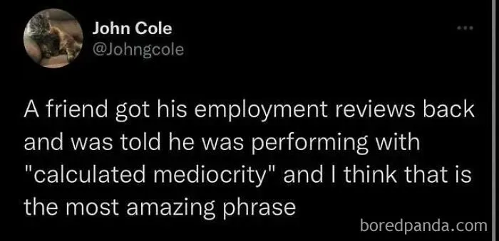 Social media post sharing a hilariously random phrase about calculated mediocrity that gets funnier the less sense it makes.