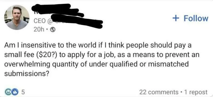 Screenshot of a CEO questioning if charging a $20 job application fee is justified to reduce underqualified submissions.