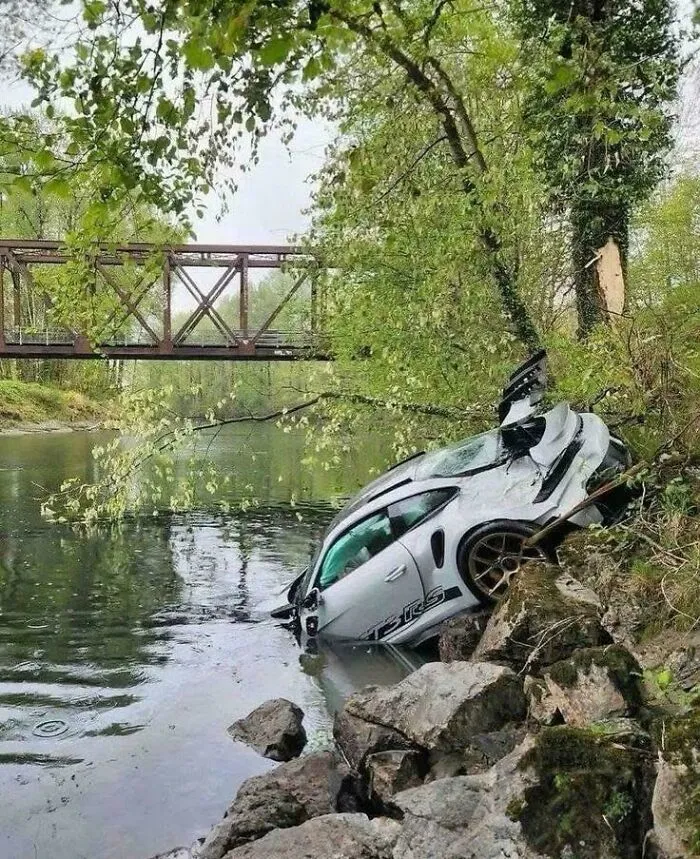 A Wild Porsche Having A Drink