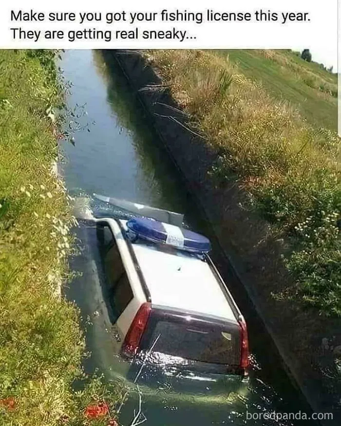 LOL🤣