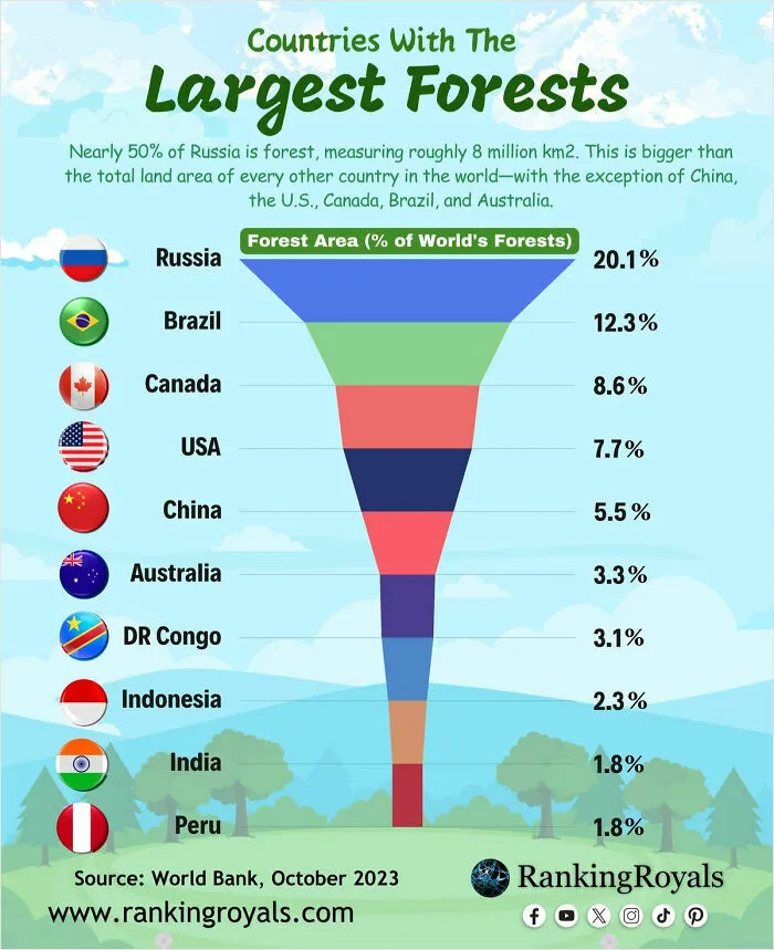 Forests Are Essential Habitats For A Wide Range Of Plant And Animal Species