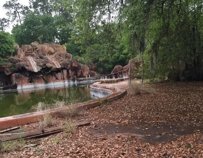 Overgrown and decaying abandoned place with a broken pool and fallen leaves surrounded by dense trees and rocks.