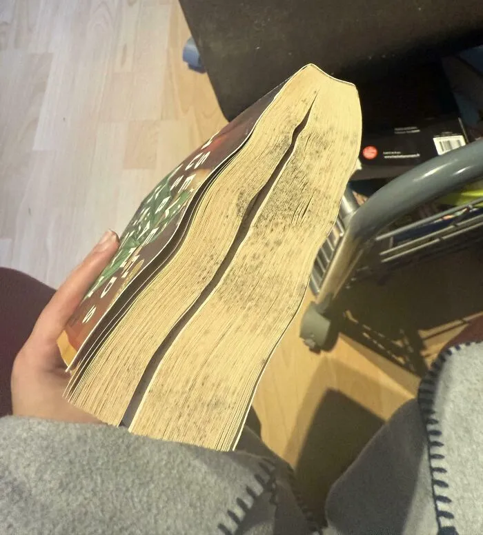 Mi hermano tomó prestado uno de mis libros y así fue como me lo devolvió