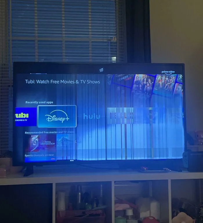 Dejé que mi hermano usara mi habitación mientras yo estaba de vacaciones y cuando volví encontré el televisor roto.