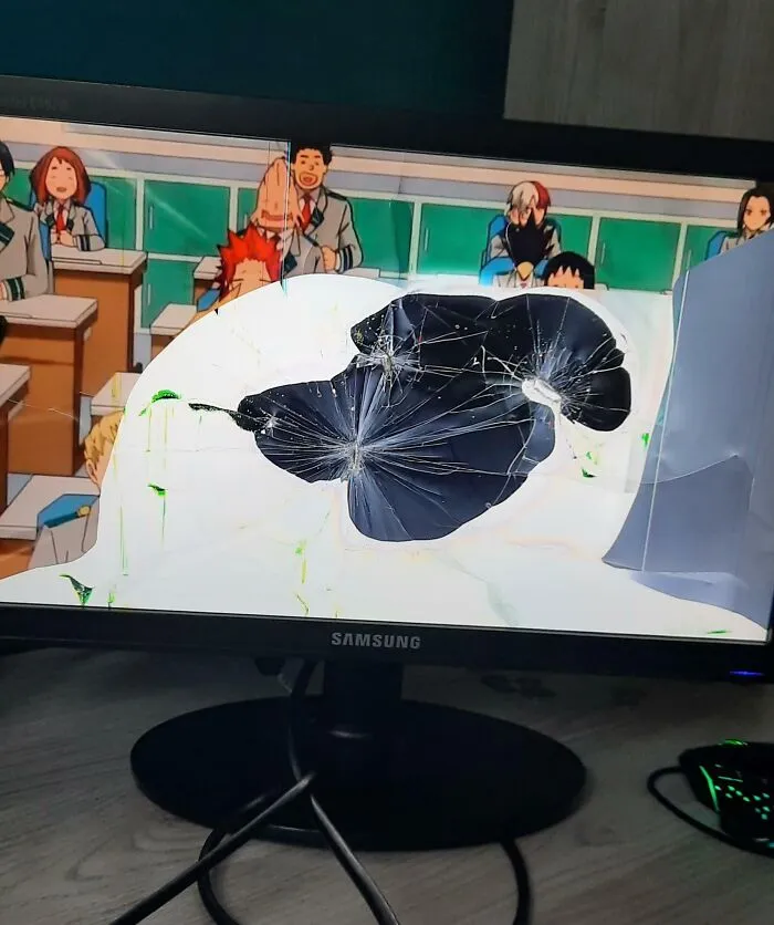 Mi hermana vino a casa a llevarse sus cosas y, mientras tanto, me destrozó el monitor. ¡Me encanta mi vida!