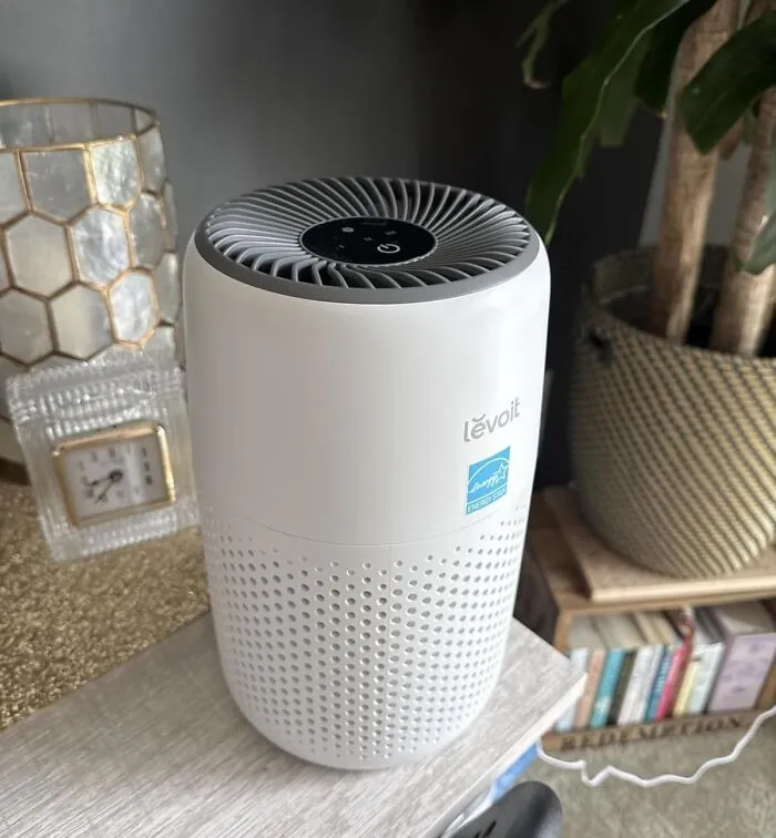 Your Apartment Air, Which Is Currently A Questionable Cocktail Of Dust, Pet Dander, And The Lingering Ghost Of Last Tuesday's Takeout, Is About To Get A Serious Detox From A <a Style="Display:inline;" Href="Https://Www.amazon.com/Levoit-Purifiers-Freshener-Core-Mini/Dp/B09gtrvjqm?ie=utf8&th=1&linkcode=ll1&tag=bphawk-20&linkid=3782a4f4b8d5f384ea77b807facace7c&language=en_us&ref_=as_li_ss_tl" Target="_blank">  <span Style="Font: Inherit; Color: #d74b1f;"> Levoit Air Purifier </Span>