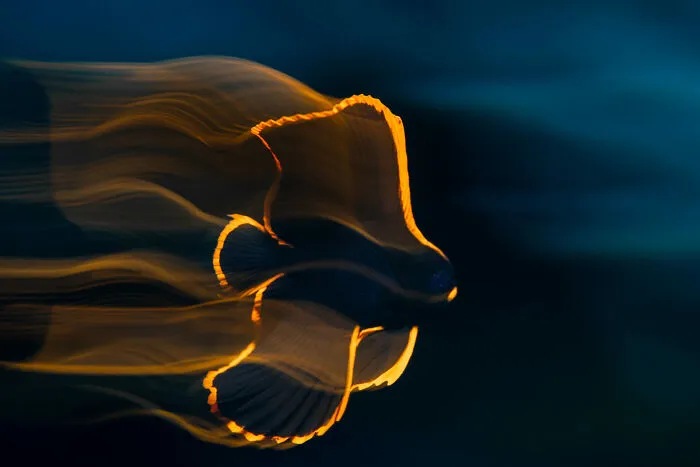 Fine Art Photographer Of The Year, Finalist Luis Arpa Toribio