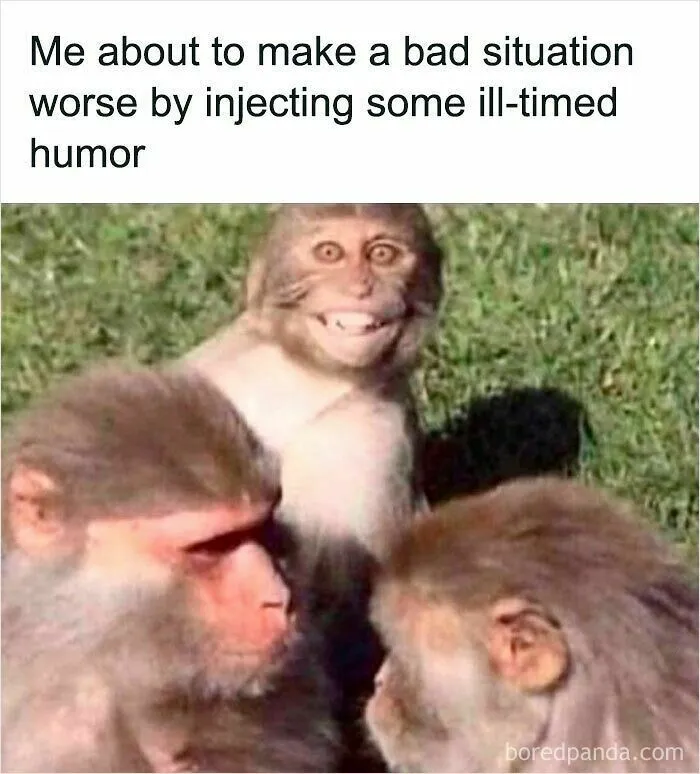 50 Times Wild Animals Were Turned Into Hilarious Memes