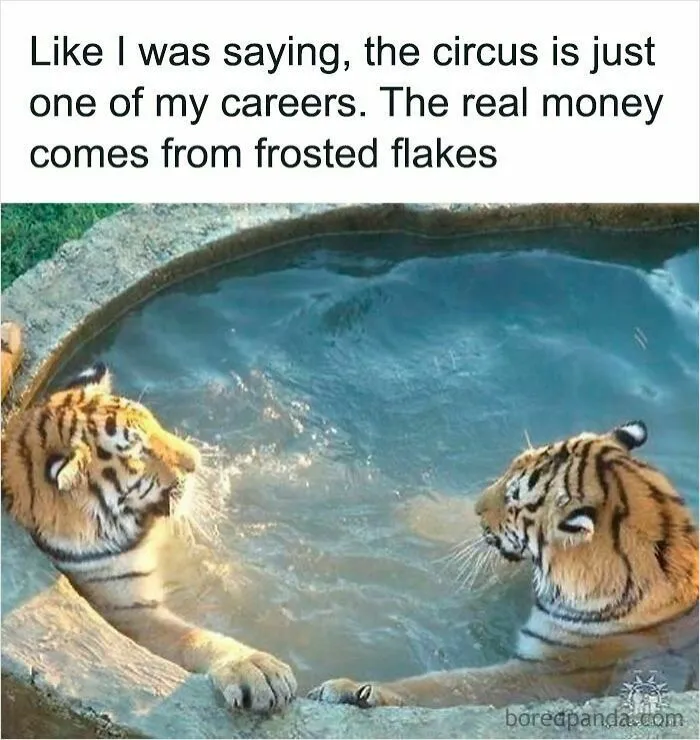 50 Times Wild Animals Were Turned Into Hilarious Memes