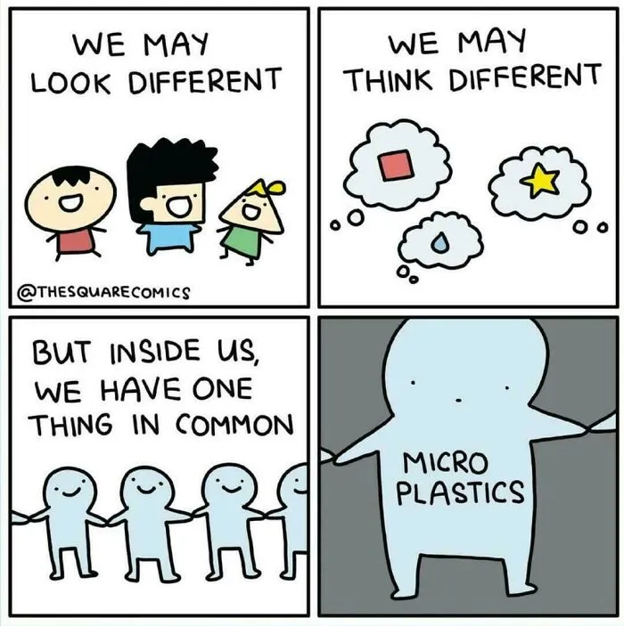 United In Our Diversity