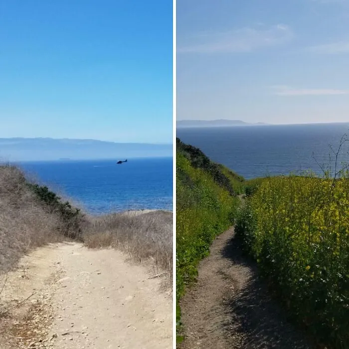 SoCal antes y después de un invierno húmedo