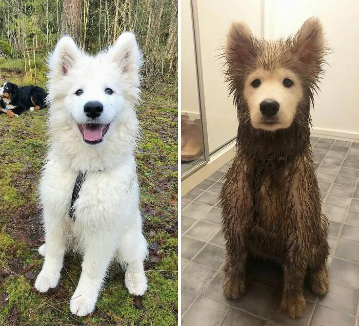 Antes y después de salir a jugar