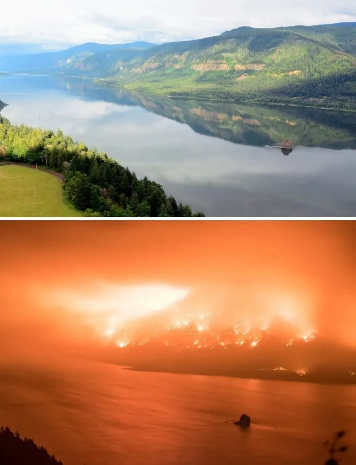 Comparación visual de un paisaje natural tranquilo y el mismo lugar afectado por un incendio forestal, mostrando diversidad inesperada.
