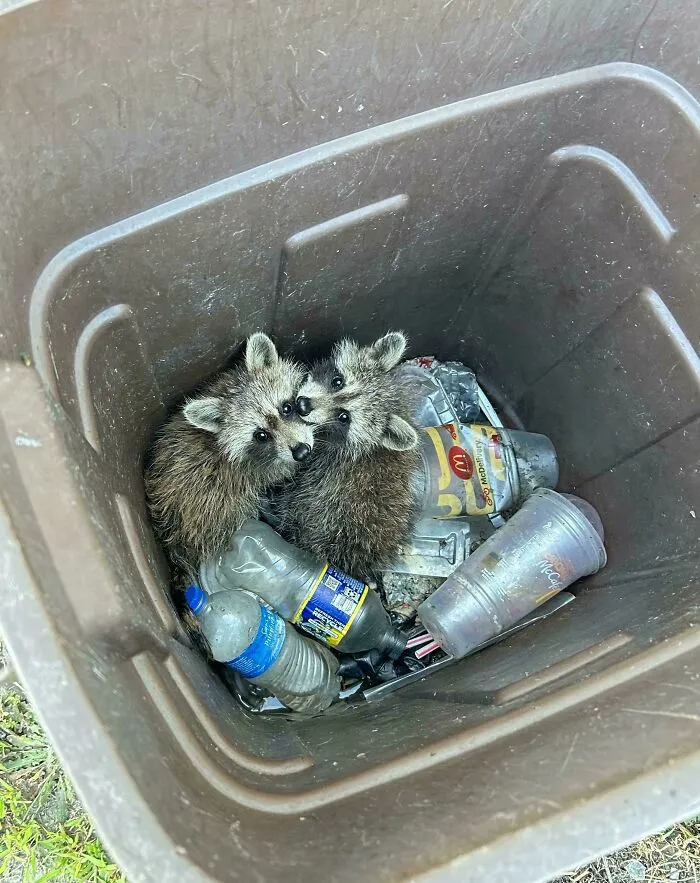 Two Little Dudes I Saved The Other Night