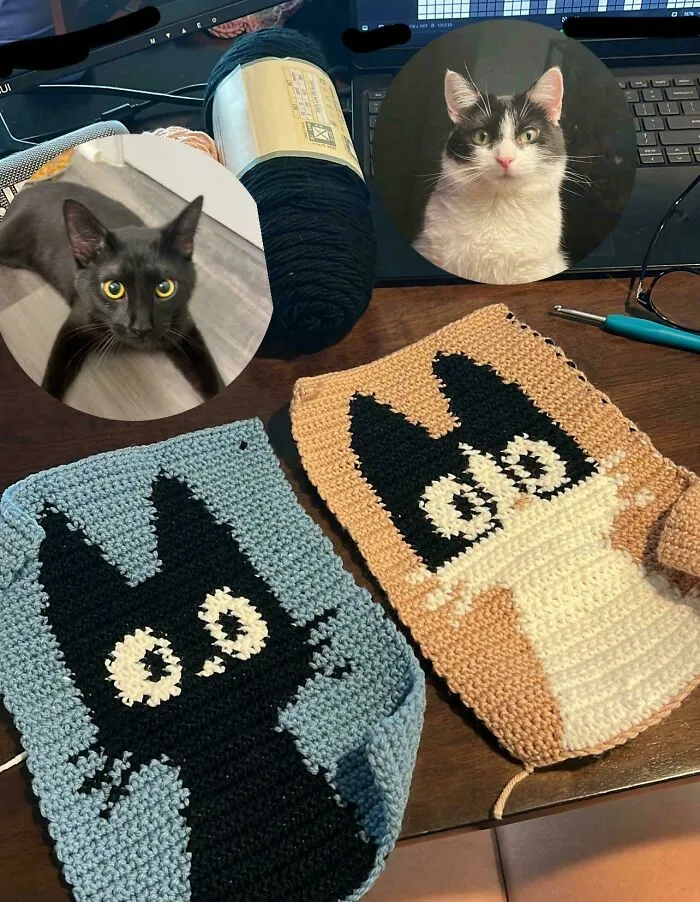 I Crocheted Portraits Of My Fur Babies 💗