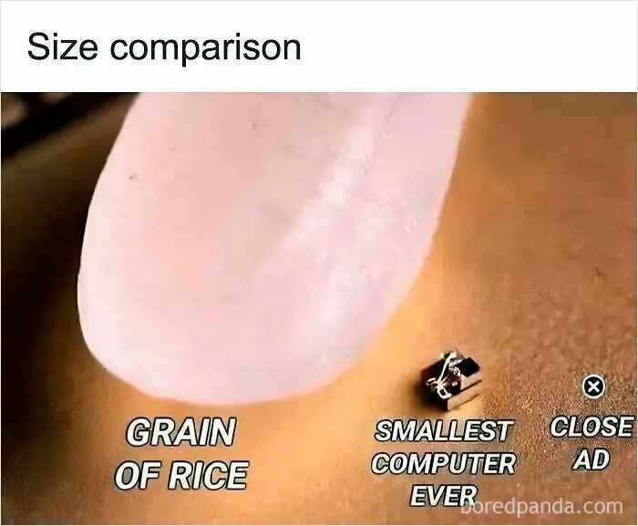50 Funny And Painfully Accurate Memes That Show We’re All Struggling Together