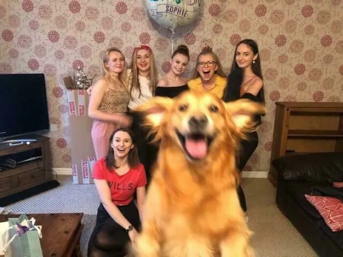 Mi novia y sus amigas intentaron tomarse una foto grupal, Alfie también quería salir.