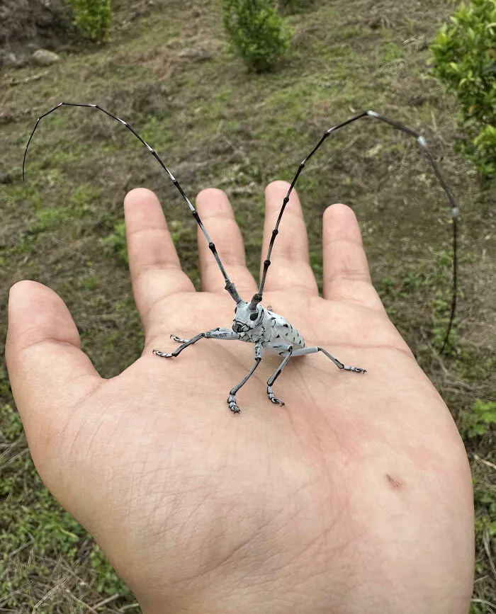 Met This Lil Guy