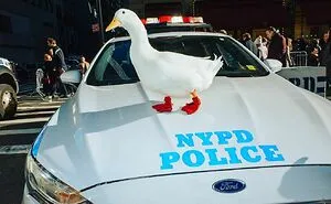 50 Hilarious And Heartwarming Animal Moments Spotted On The Streets