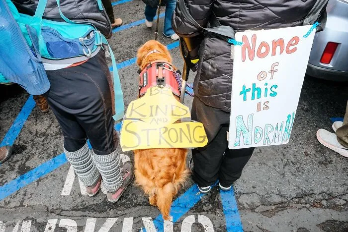 50 Hilarious And Heartwarming Animal Moments Spotted On The Streets