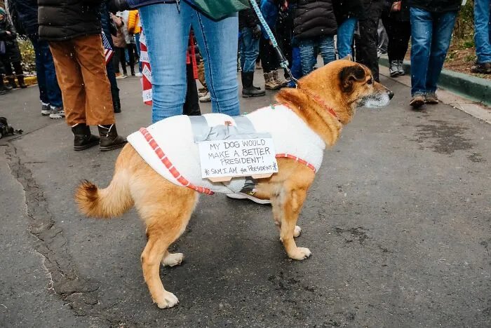50 Hilarious And Heartwarming Animal Moments Spotted On The Streets