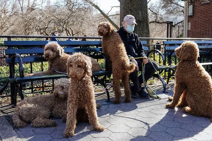 50 Hilarious And Heartwarming Animal Moments Spotted On The Streets