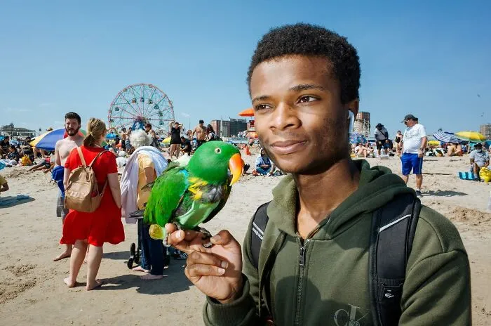 50 Hilarious And Heartwarming Animal Moments Spotted On The Streets