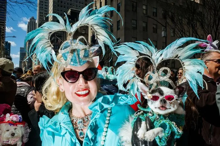 50 Hilarious And Heartwarming Animal Moments Spotted On The Streets