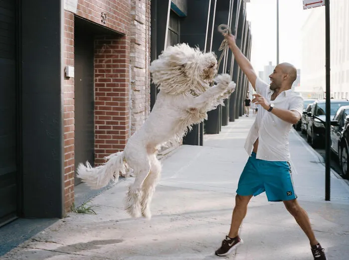 50 Hilarious And Heartwarming Animal Moments Spotted On The Streets