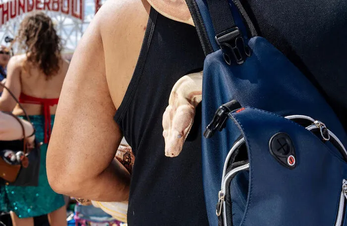 50 Hilarious And Heartwarming Animal Moments Spotted On The Streets