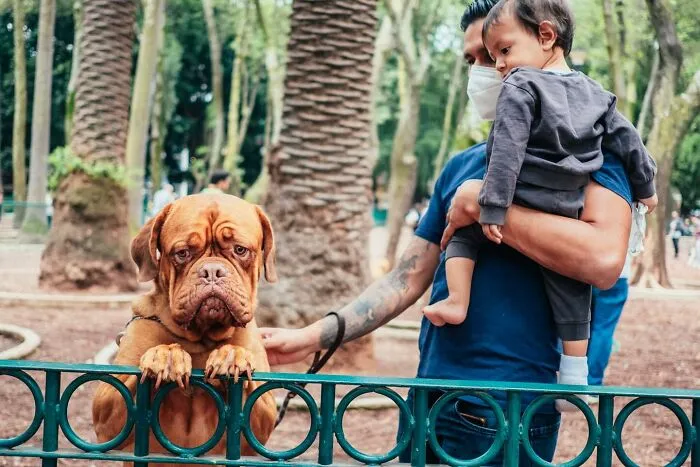 50 Hilarious And Heartwarming Animal Moments Spotted On The Streets