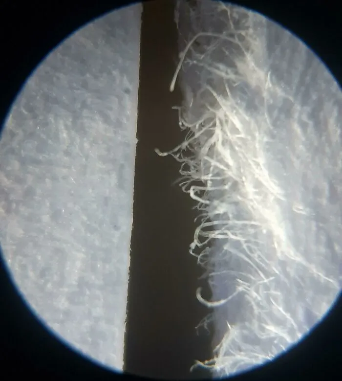 Trozo de papel cortado con tijeras VS trozo de papel rasgado, vistos al microscopio