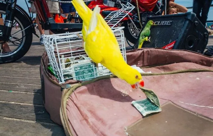 50 Hilarious And Heartwarming Animal Moments Spotted On The Streets